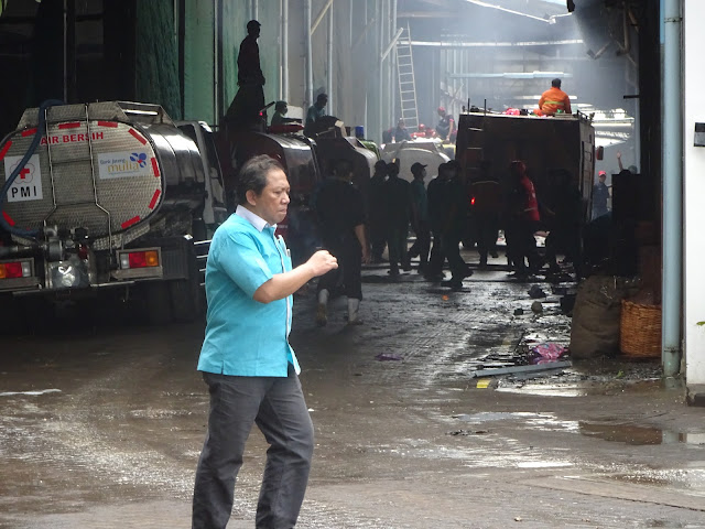 Semua yang Berada di Lokasi Kebakaran Dua Kelinci Saling Bahu Membahu