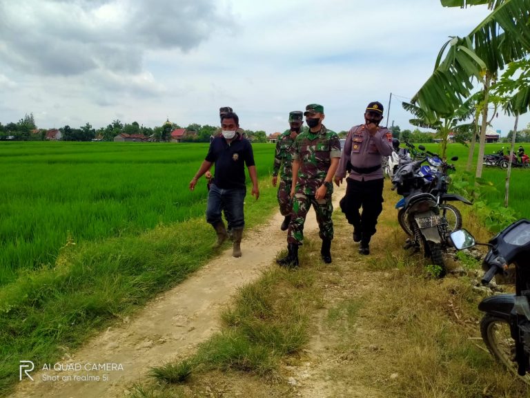 Karya Bakti TNI Kodim 0718 Pati di Desa Wegil