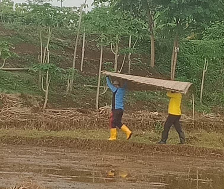 Warga dan Pemerintahan Desa Margorejo Bahu Membahu Bersama Koramil Perbaiki Tanggul Bobol