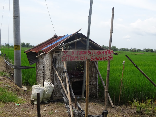 Tutupnya LI Berkurangnya Petani ke Sawah di Malam Hari