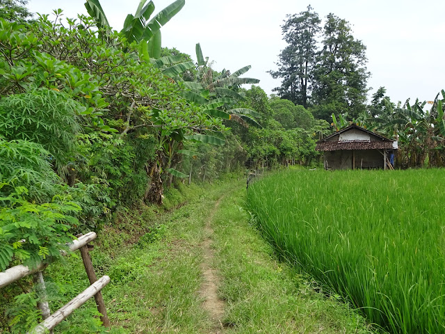 Untuk Membiayai Pemungutan Suara ”Pilgabur” Bersumber dari Hasil Lelang Bagian Lahan Kubur