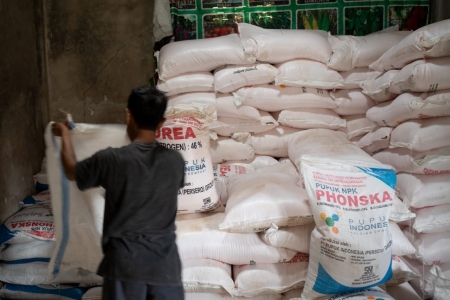 Alokasi Sementara Pupuk Subsidi di Pati sebesar 5.733 Ton