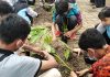 Anak-anak disabilitas sedang bermain bersama dalam bentuk mengisi polybag di acara Kirab Obor Api PeSonas, Senin (10/1/2022)