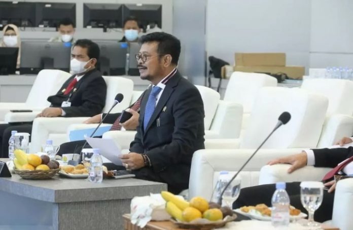 Menteri Pertanian (Mentan) Syahrul Yasin Limpo. (tangkapan layar Instagram @syasinlempo)