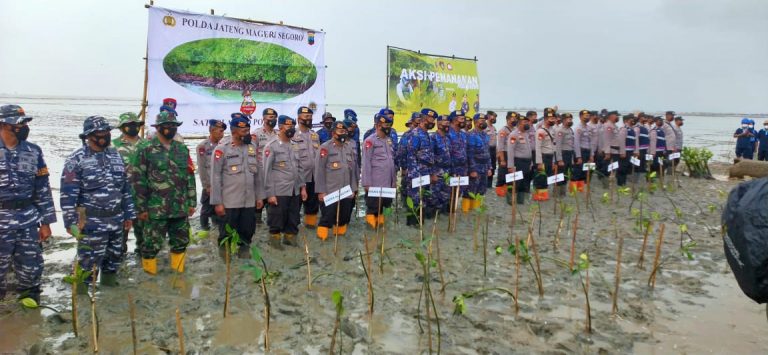 Ratusan Orang Ikut Ambil Bagian Penanaman Mangrove ”Mageri Segara”