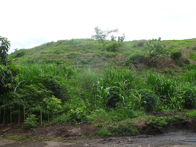 DLH Mempertegas Soal Pemanfaatan Timbunan Zona Nonaktif Sampah di TPA Sukoharjo