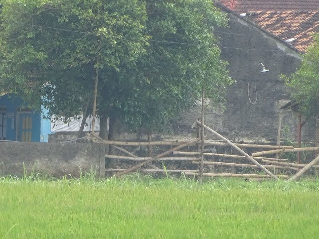 Tepat di Depan Lorong I dan II Kompleks LI Dipasang Pagar Bambu