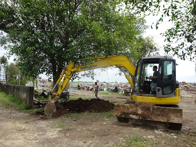 Ternyata Pohon Beringin di Kopleks LI Laku Terjual