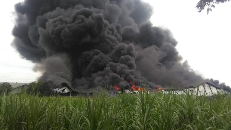 Pabrik Plastik Starindo Packaging di Margorejo Terbakar