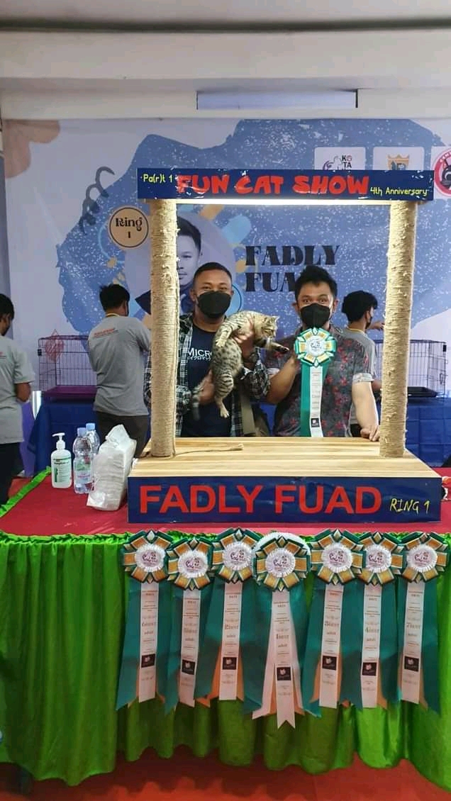 Kotaku Pati Gelar Fun Cat Show, Ajak Kucing Lover Rawat Sepenuh Hati