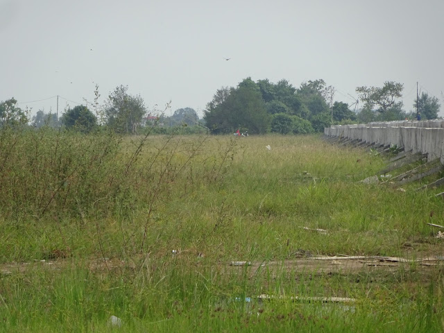 Kondisi lingkungan kolam tambat kapal di kawasan Pulau Seprapat Juwana yang ditumbuhi tumbuhan dan rumput liar, karena pembangunannya belum tuntas.(Foto:SN/aed)