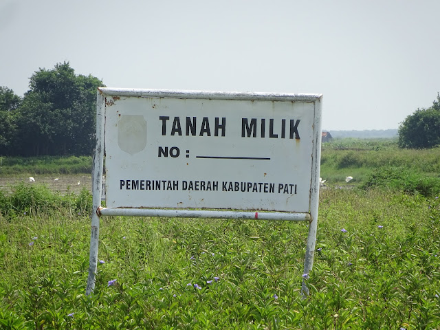 Lahan milik Pemerintah Kabupaten (Pemkab) Pati yang harus dimaksimalkan, agar bisa menampung tanah galian kolam tambat kapal di kawasan Pulau Seprapat Juwana.(Foto:SN/aed)