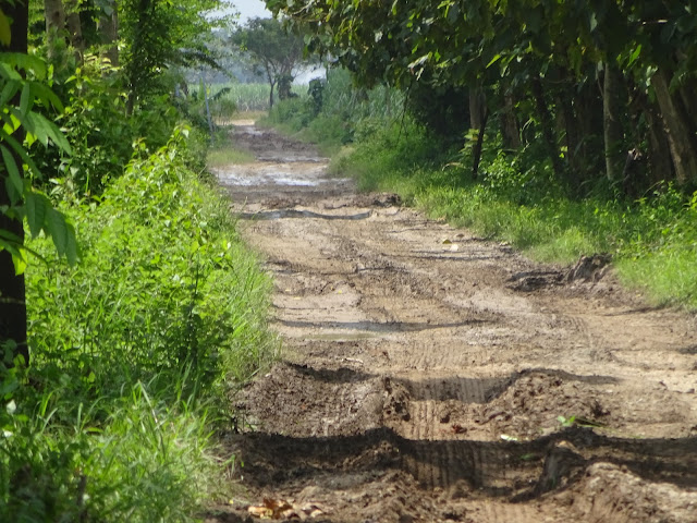 Kondisi akses ruas jalan menuju ke lokasi bekas kompleks Lorong Indah (LI)