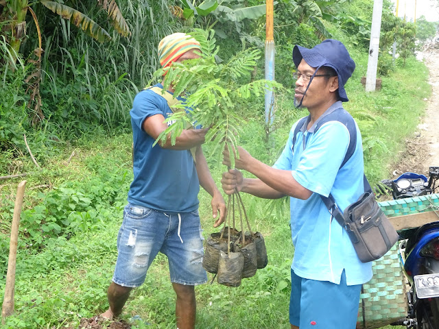 Kepala Seksi Kasi Kebersihan Bidang Kebersihan Persampahan dan Pertamanan Dinas Lingkungan Hidup (DLH) Kabupaten Pati, Sukarso menyerahkan bibit tanaman untuk dilanjutkan dengan penanaman