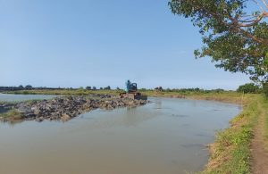 Sebuah ekskavator yang menopang di atas ponton terus melakukan penggalian tanah dalam kolam tambat kapal, di kawasan Pulau Seprapat Juwana.(Foto:SN/dok-lik)