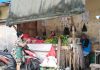 Pedagang kembang di Pasar Puri Baru