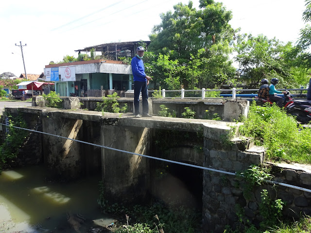 Kondisi bendung di alur Kali Selok menempel pada konstruksi jembatan tua yang membentang di atas alur kali tersebut, atau di ruas jalan Juwana-Tayu