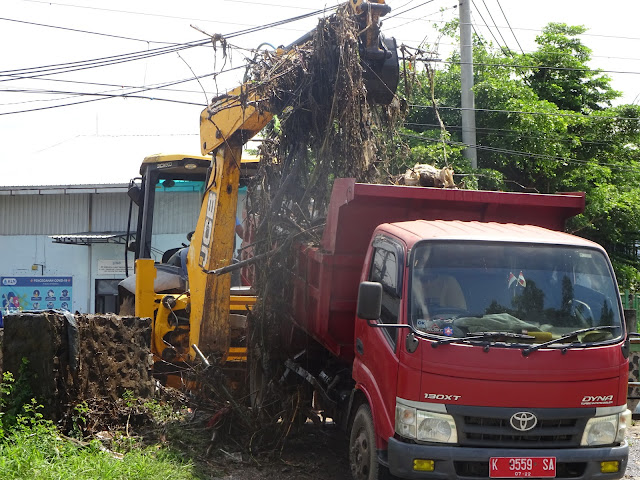 Bidang Sumber Daya Air DPUPR Pati Jadi ”Juru Bersih-bersih” Sangkrah di Alur Kali Simo