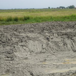 Kondisi tanah galian yang harus dibuang dari dalam kolam tambat kapal kebanyakan masih basah, tapi tidak banyak bercampur air sehingga saat diangkat dengan ekskavator tidak banyak yang berceceran.(Foto:SN/aed)