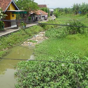 Selain semak belukar, warga pun membuang sampah di alur kali yang tak terpelihara tersebut.(Foto:SN/aed)