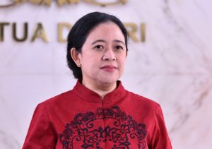 Ketua DPR RI, Puan Maharani (dok DPR)