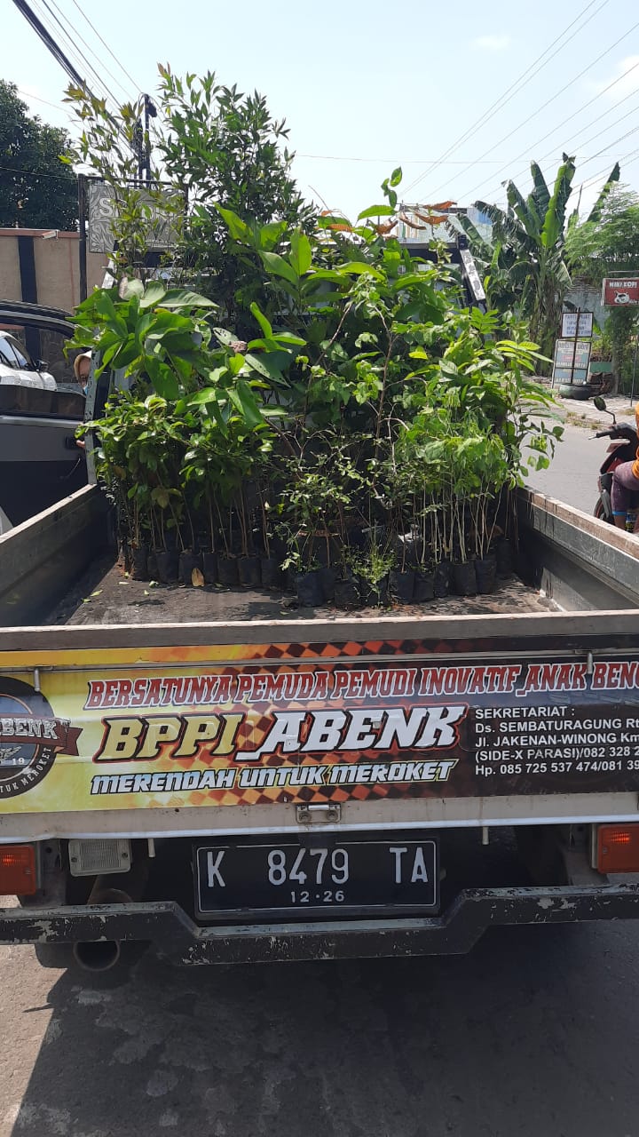 Penyaluran bantuan stimulan bibit tanaman buah-buahan dan jenis lainnya serta penyerahan ke SD Negeri Sumberarum, Kecamatan Jaken.(Foto:SN/dok-ko)