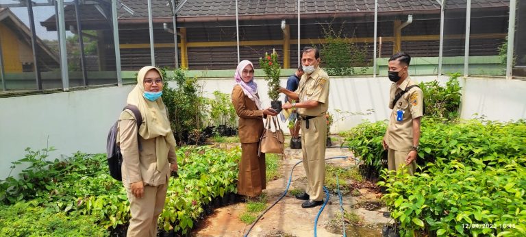 DLH Berikan Stimulan Bibit Tanaman ke Sekolah dan Masyarakat