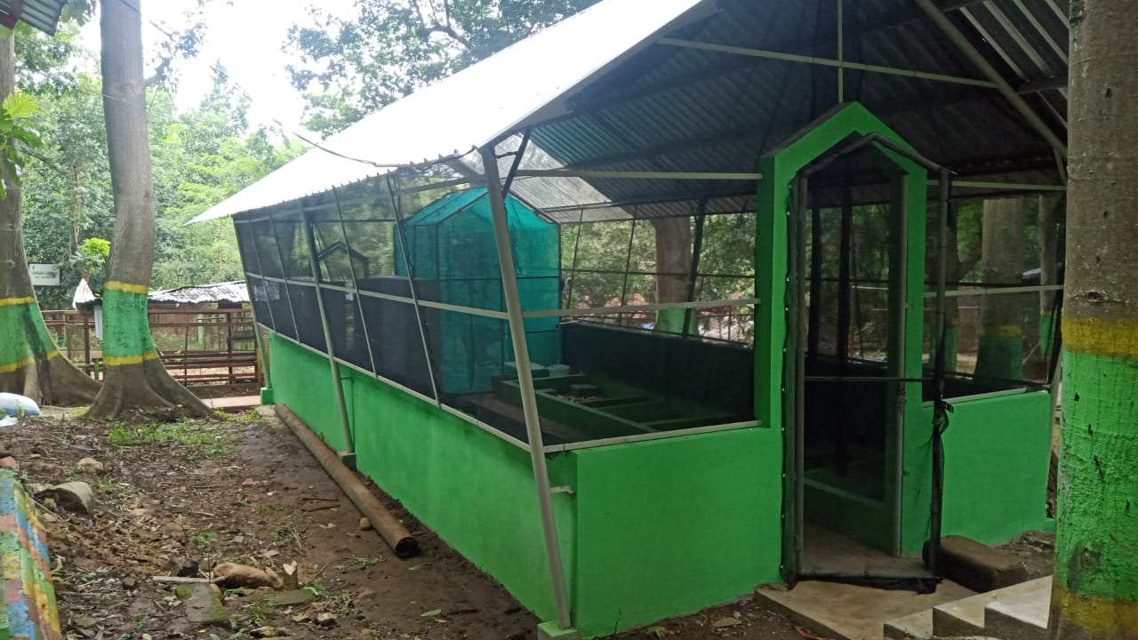 Rumah/tempat pengembangan Biokonversi  Maggot ''Black Soldier Fly'' (BSF) di lingkungan Tempat Pembuangan Akhir (TPA) sampah Sukoharjo, Kecamatan Margorejo.(Foto:SN/dok-lus)