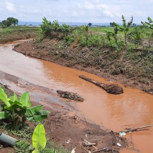 Kondisi alur kali di hilir dan hulu Bendung Blado, di Desa Jimbaran, Kecamatan Margorejo, Pati.(Foto:SN/dok-nn)