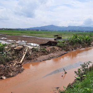 Dangkal dan sempitmya alur kali di hulu Bendung Blado, Desa Jimbaran, Kecamatan Margorejo yang bobol saat banjir beberapa hari lalu.(Foto:SN/dok-nn)