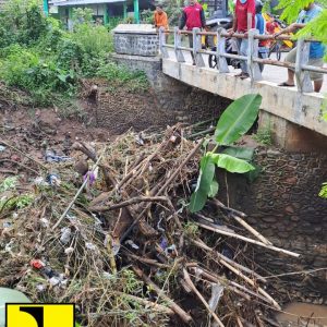 Dari pembersihan sangkrah di alur Kali Simo, Tim Alat Berat Bidang SDA harus bergerak menuju Jembatan Bertek, di Desa Dadirejo, Kecamatan Margorejo yang juga tersumbat banyaknya sangkrah dari alur Kali Lengkowo.(Foto:SN/dok-dar)