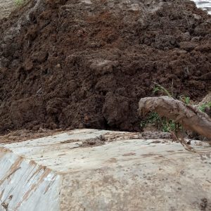 Bekas tanggul hulu kiri Bendung Blado, di Desa Jimbaran, Kecamatan Margorejo yang harus dikepras untuk lewat alat berat, sudah dikembalikan lagi sesuai kondisi semula.(Foto:SN/aed)