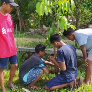 Serah terima bibit pohon mahoni secara simbolis di halaman Balai Desa/Kecamatan Margorejo yang dilanjutkan penanaman oleh kelompok pemuda setempat di ruas jalan poros Desa Margorejo-Penambuhan, Kecamatan Margorejo.(Foto:SN/dok-frpb)