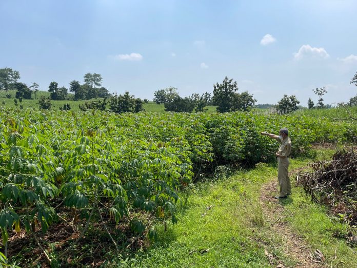 Lahan penganti tukar guling bengkok Sekdes dan Kaur Pemerintahan Desa Ngarus, Kecamatan Pati, di Desa Badegan, Kecamatan Margorejo.(Foto:SN/dok-nn) Lahan penganti tukar guling bengkok Sekdes dan Kaur Pemerintahan Desa Ngarus, Kecamatan Pati, di Desa Badegan, Kecamatan Margorejo.(Foto:SN/dok-nn)