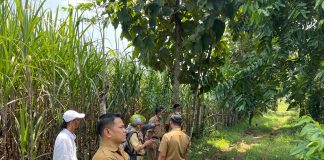 Kepala Bagian (Kabag) Tata Pemerintahan Setda Pati, Imam Kartiko bersama tim saat meninjau ke lokasi lahan pengganti bengkok Sekdes dan Kasi Pemerintahan Desa Ngarus,Kecamatan Pati, di Desa Badegan, Kecamatan Margorejo.(Foto:SN/dok-nn)