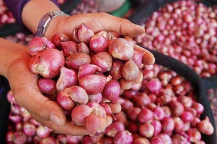 Perkembangan Harga Sembako di Kabupaten Pati Tanggal 20 Juni, Bawang Merah Rp55.000