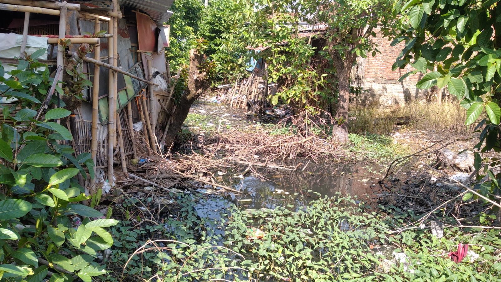 Kondisi sungai yang keruh dan dangkal.