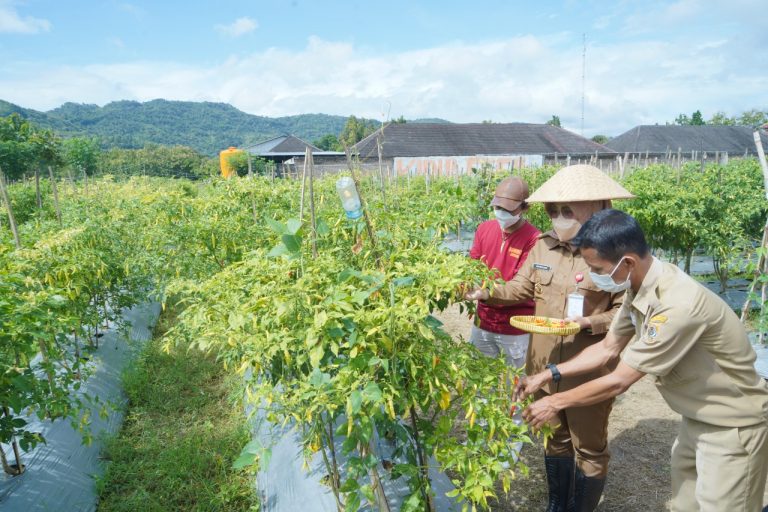 Golkar Pati Soroti Dua Sektor Ini Agar Pati Maju