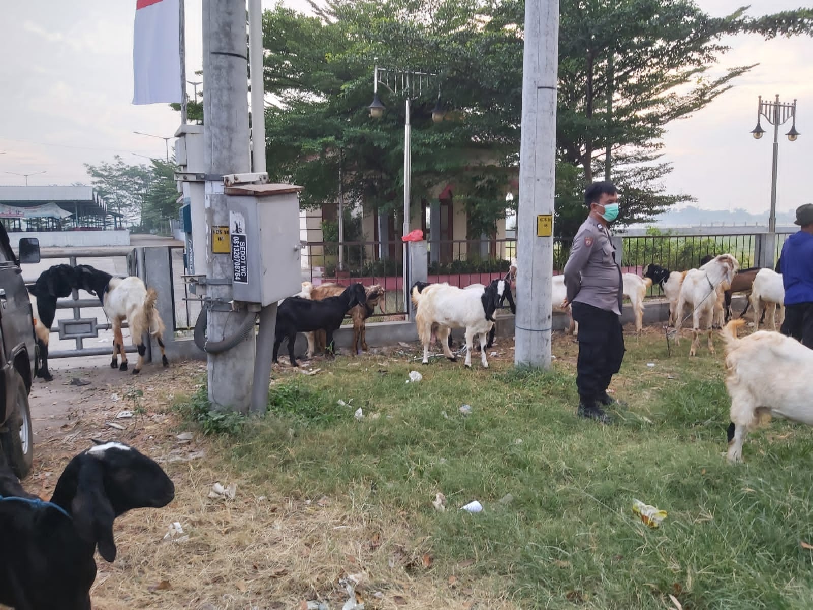 Polsek Mejobo Memantau dan melaksanakan aktivitas operasional di pasar hewan Kudus, (Foto : Adam Naufaldo)