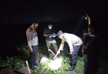 Jajaran kepolisian saat olah TKP penemuan mayat di ladang Kacang