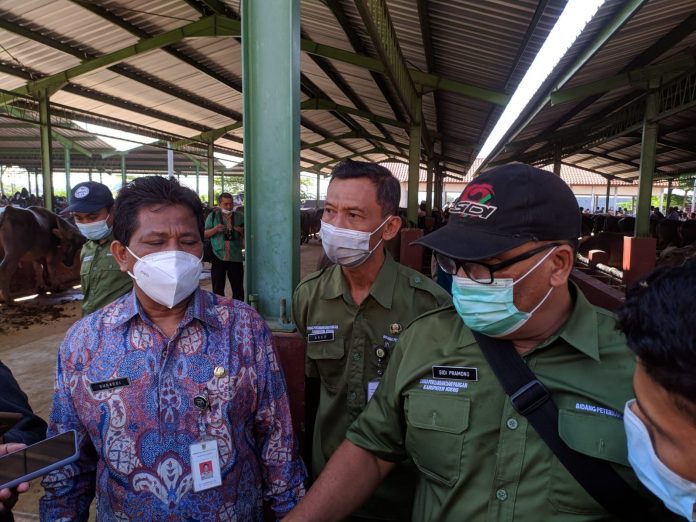 Kepala Bidang Peternakan Dinas Pertanian dan Pangan Kudus Agus Setiawan bersama jajaran lainnya, (Foto : Adam Naufaldo) Kepala Bidang Peternakan Dinas Pertanian dan Pangan Kudus Agus Setiawan bersama jajaran lainnya, (Foto : Adam Naufaldo)