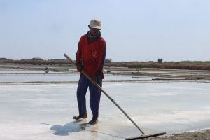 Tampak petani tengah memproduksi garam