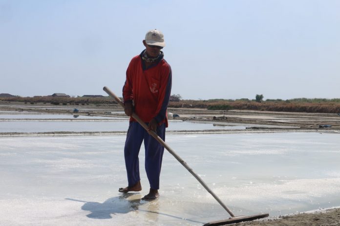 Tampak petani tengah memproduksi garam Tampak petani tengah memproduksi garam
