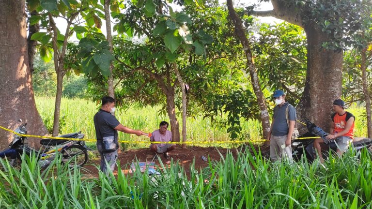 Warga Gembong Diamankan Kepolisian Kepergok Dadu di Kebun Singkong
