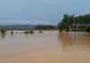 Area persawahan milik petani terkena banjir di Kecamatan Gabus