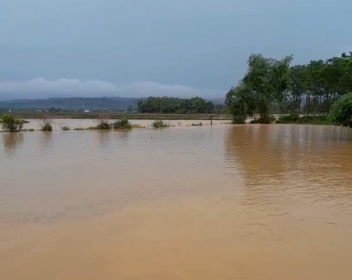 Area persawahan milik petani terkena banjir di Kecamatan Gabus