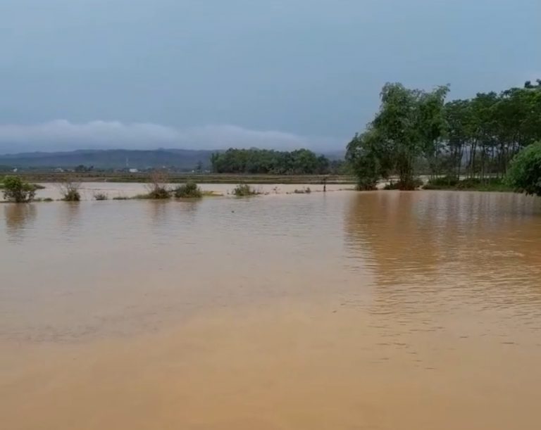 Banjir di Enam Kecamatan di Pati tak Sebabkan Puso