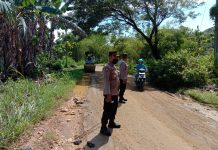 Jajaran Polsek Sukolilo saat di lokasi penanaman pohon pisang di Jalan Sukolilo-Prawoto. Aksi itu sudah direspon dilakukan penambalan