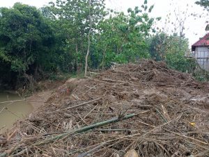 Penampakan sungai di Desa Godo dikeruk yang dipenuhi sampah bambu