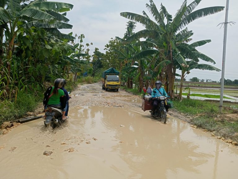 Segera Diperbaiki, Dua Ruas Jalan di Pati Ini Sudah Masuk Lelang Tender